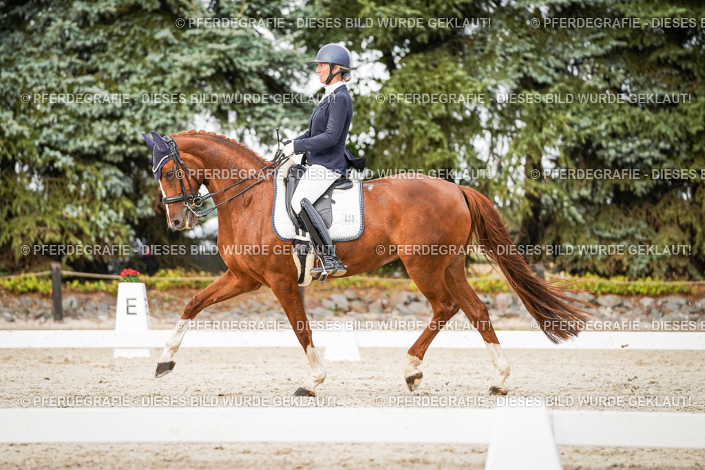 DSC09151 | Pferdegrafie