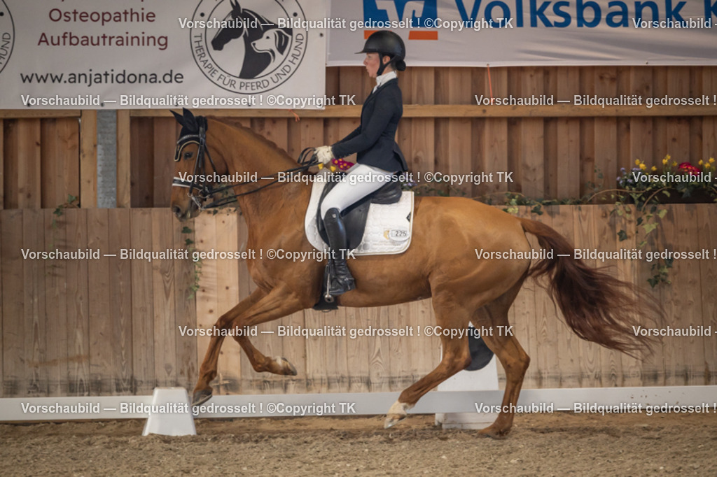 _D5A2790 | Emotionale Pferde- & People-Fotografie rund um Heidelberg, Leimen & Umgebung. Natürliche Fotos von Pferd, Mensch & Familie. Jetzt Termin sichern!