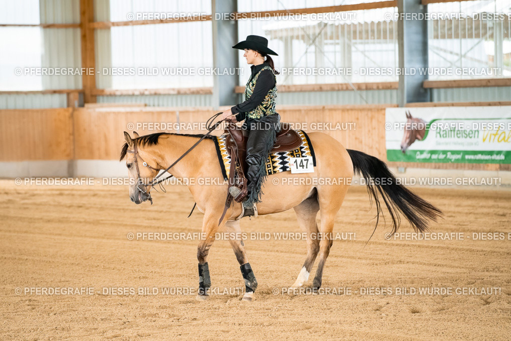 DSC02889 | Pferdegrafie