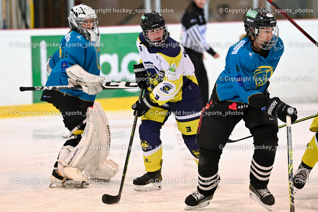 BST_6376 | hockey sports photos, Pressefotos, Sportfotos, hockey247, win 2day icehockeyleague, Handball Austria, Floorball Austria, ÖVV, Kärntner Eishockeyverband, KEHV, KFV, Kärntner Fussballverband, Österreichischer Volleyballverband, Alps Hockey League, ÖFB, 