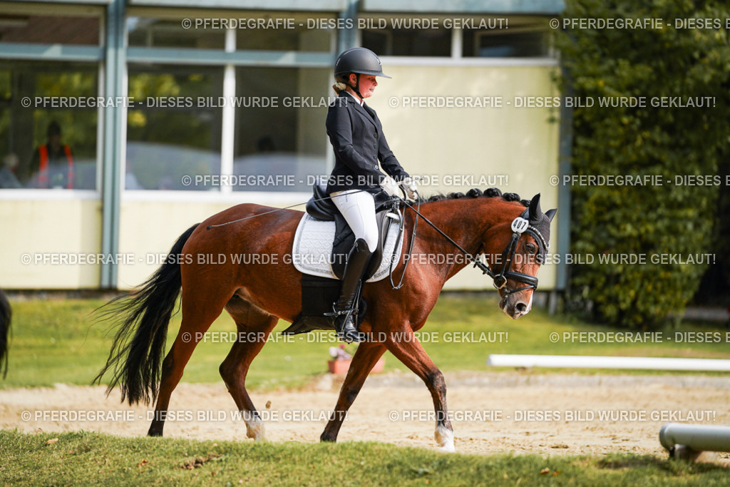 DSC04542 | Pferdegrafie