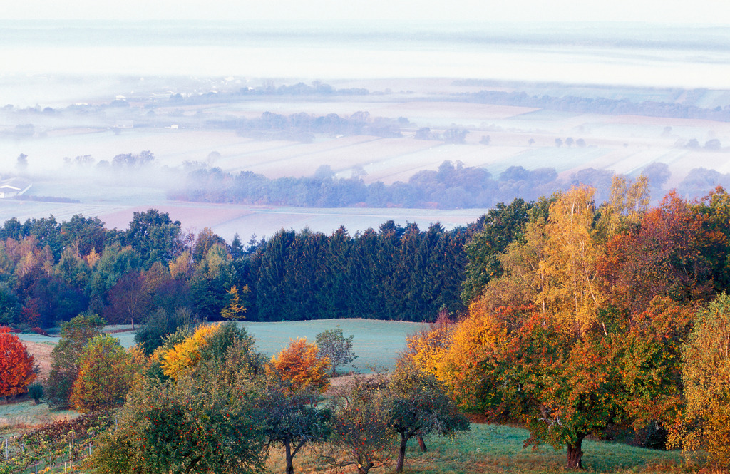 Herbstlandschaft | Burgauberg, Austria - March 06, 2008: Herbstlandschaft in Südburgenland. - Realisiert mit Pictrs.com