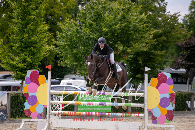 IMG_5719 | Turniersportfotografie; Pferdefotografie; Dressurfotografie