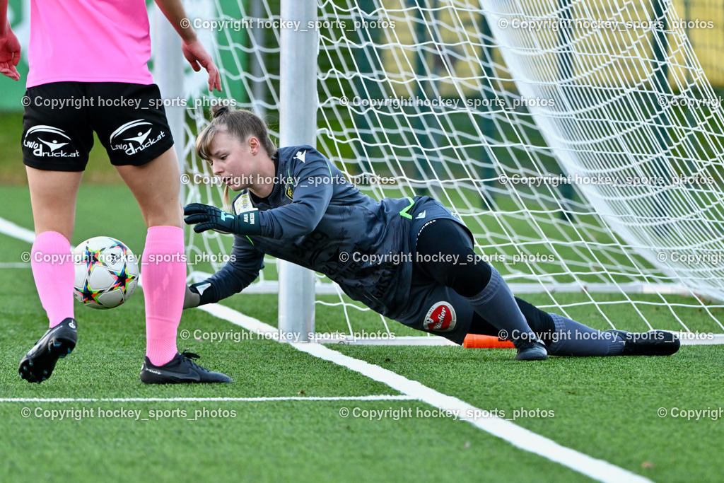 Liwodruck Carinthians Hornets vs. FK Austria Wien Frauen 19.11.2023 | #1 Anja Meier