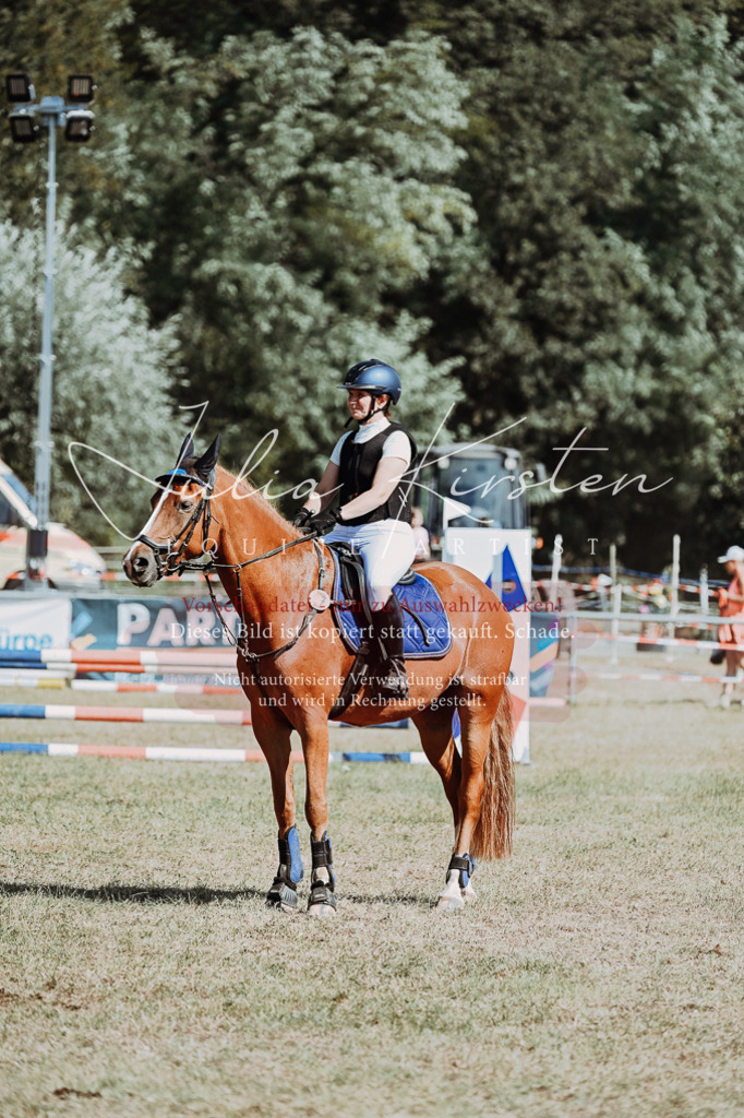 DSC_9627 | Pferde- und Turnierfotografie in Westsachsen. Pferdeportraits, Auftragszeichnungen und intuitive Kunst.