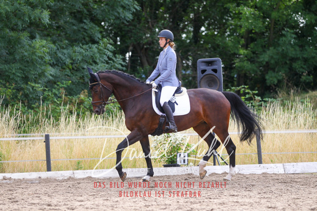 DKP45672 | Turniersportfotografie; Pferdefotografie; Dressurfotografie