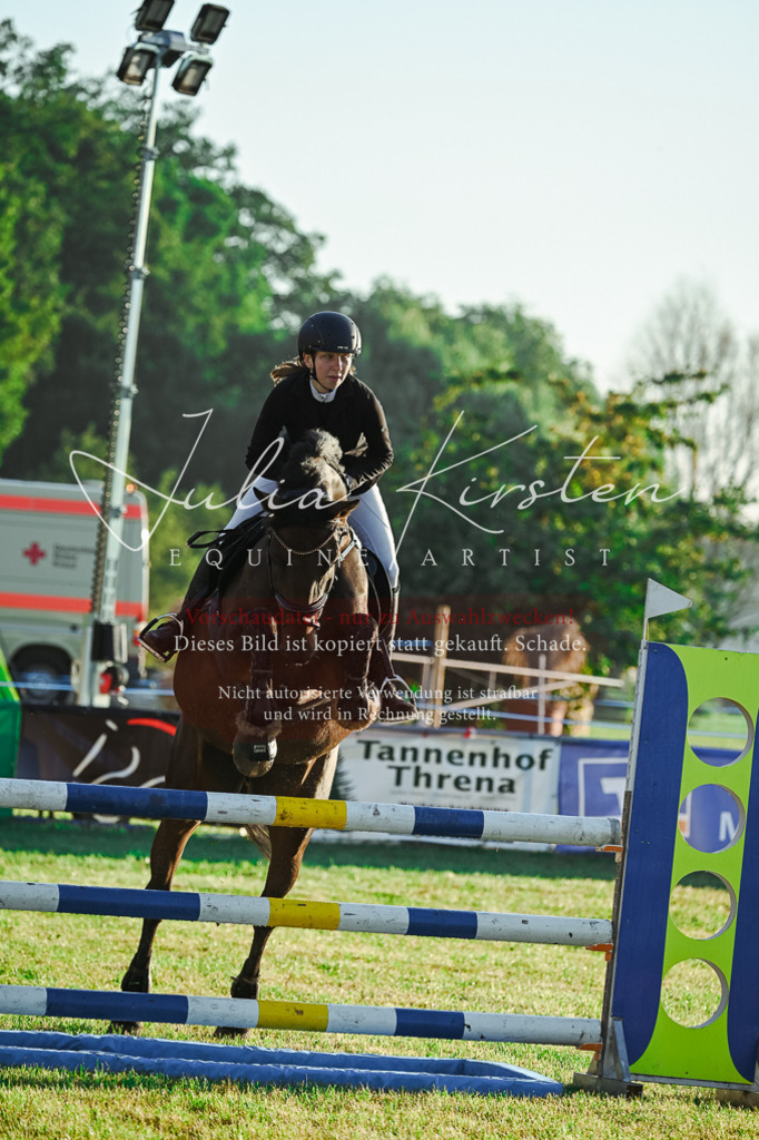 DSC_3781 | Pferde- und Turnierfotografie in Westsachsen. Pferdeportraits, Auftragszeichnungen und intuitive Kunst.