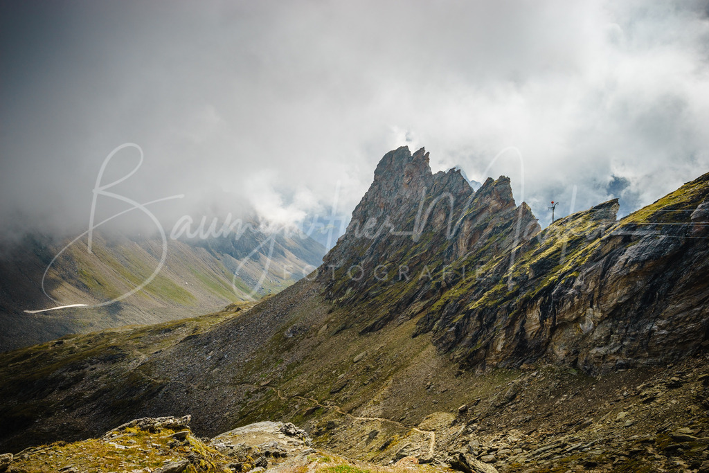 _DSC9878 | Baumgartner Markus Fotografie