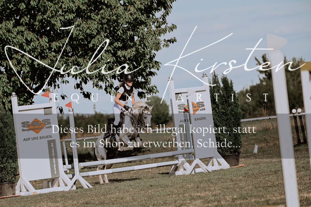 DSC_9427 | Pferde- und Turnierfotografie in Westsachsen. Pferdeportraits, Auftragszeichnungen und intuitive Kunst.