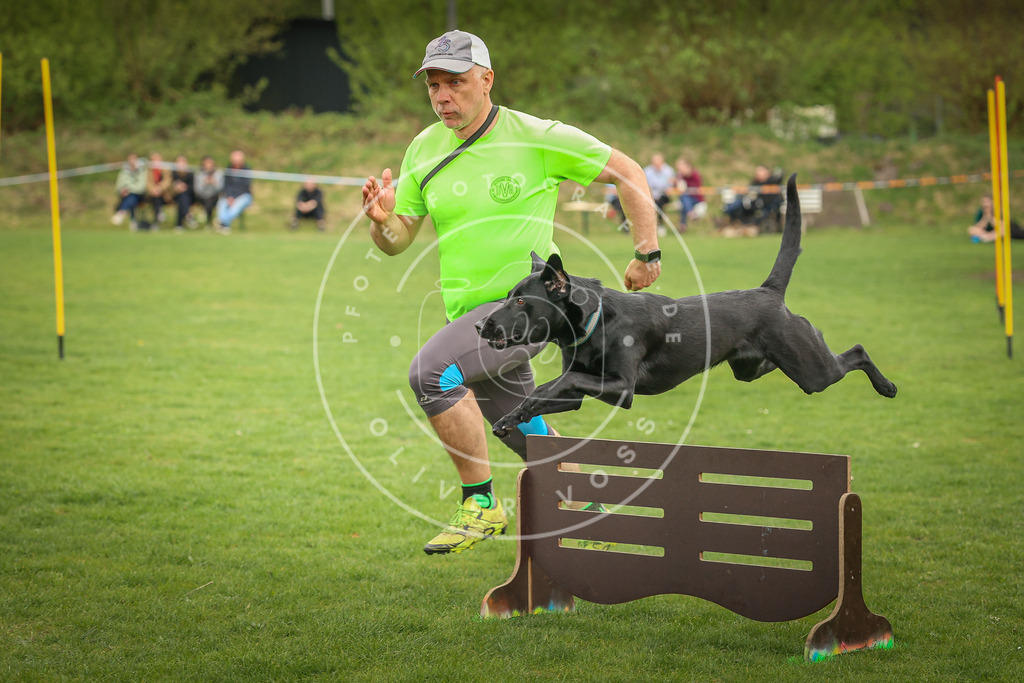Pfotenfotografie_0L8A0965 | Hundefotografie, Tierfotograf, Pfotenfotografie, Fotoshooting Hund, Hunde Portrait, Hundesport, Hundeportraits, Heideshooting, Hunde, Sportfotograf, Hundefotograf, Turnierhundsport, THS,  - Realisiert mit Pictrs.com