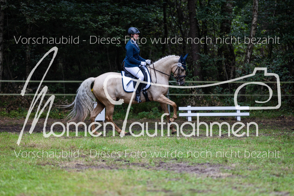 HB-A-Dressur-078 | MomenTaufnahmen Pferdesportfotos