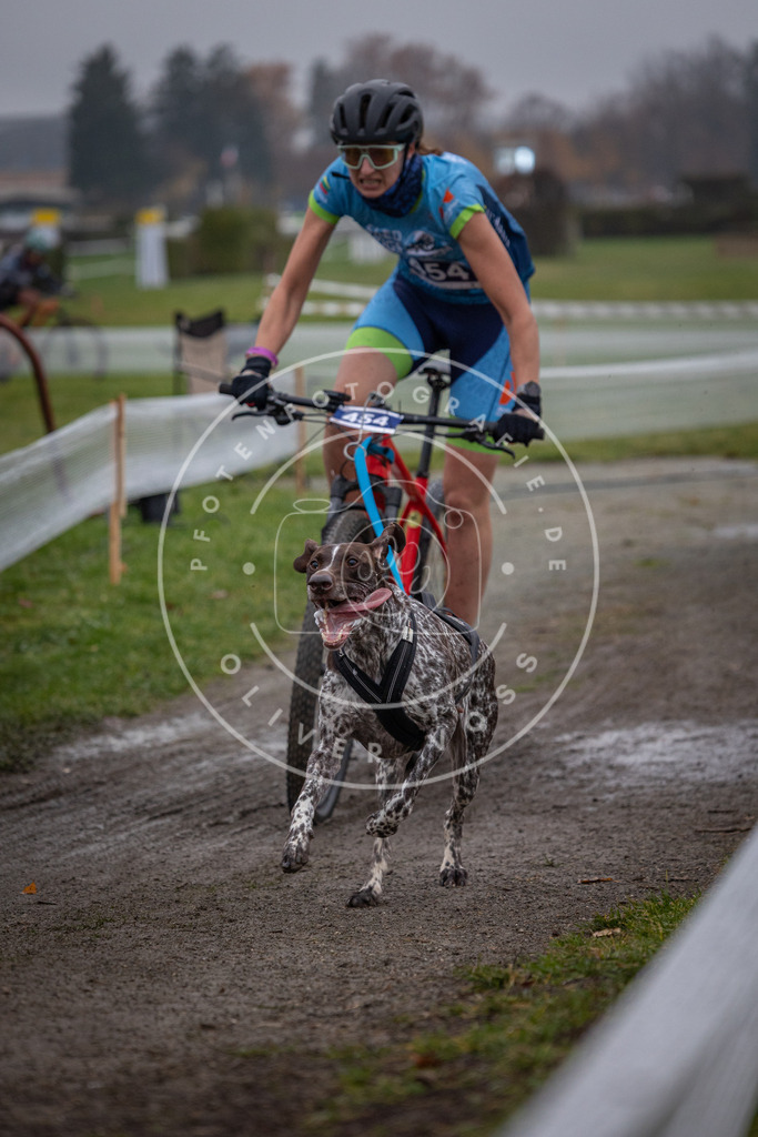 CaniXpix_0L8A1550 | Hundefotografie, Tierfotograf, Pfotenfotografie, Fotoshooting Hund, Hunde Portrait, Hundesport, Hundeportraits, Heideshooting, Hunde, Sportfotograf, Hundefotograf, Turnierhundsport, THS,  - Realisiert mit Pictrs.com