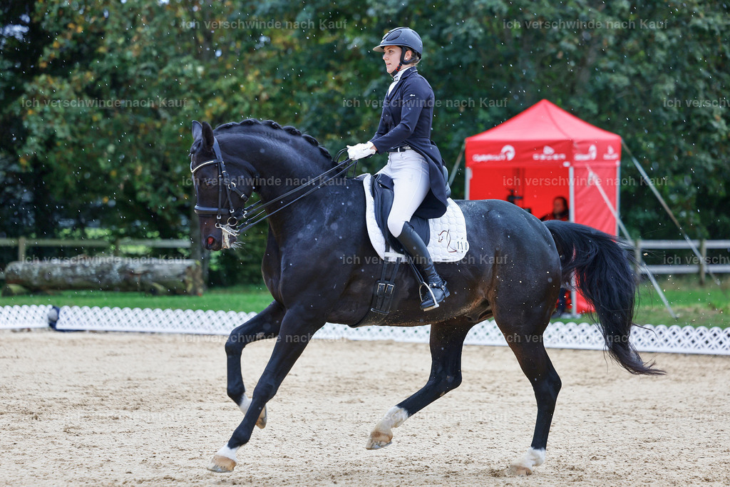 8_1-118-Klasse S_  -StoibPH-3902 | working equitationturnier fotograf videograf stoibphotography marixx film working equitation deutschland reitsport turnierfotografie eventfotografie equestrian events