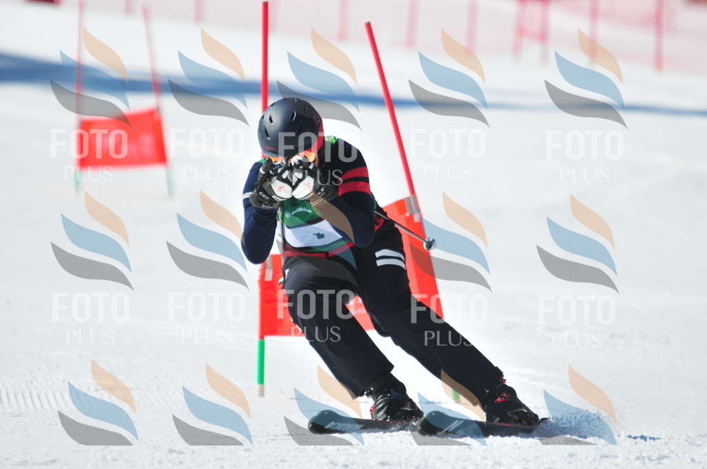 C3363 | holidayphoto