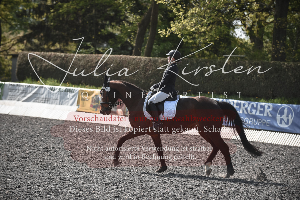 20230513_JK-Röhrsdorf-14-341 | Pferde- und Turnierfotografie in Westsachsen. Pferdeportraits, Auftragszeichnungen und intuitive Kunst.