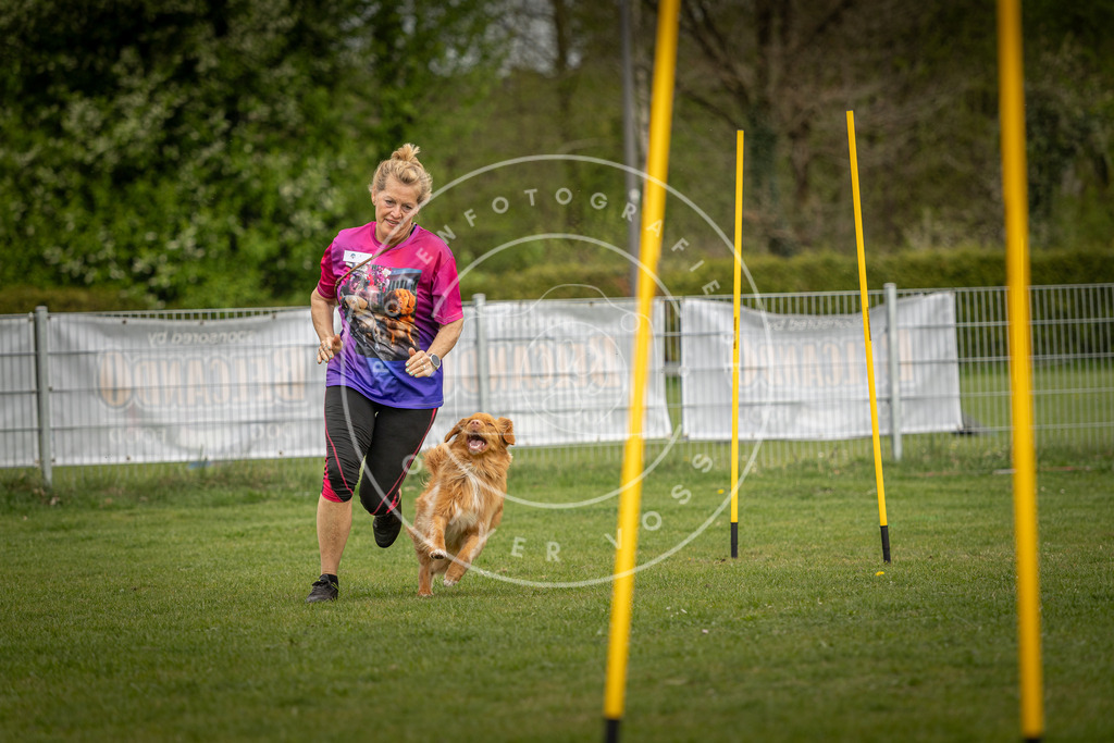 Pfotenfotografie_DV3A7598 | Hundefotografie, Tierfotograf, Pfotenfotografie, Fotoshooting Hund, Hunde Portrait, Hundesport, Hundeportraits, Heideshooting, Hunde, Sportfotograf, Hundefotograf, Turnierhundsport, THS,  - Realisiert mit Pictrs.com