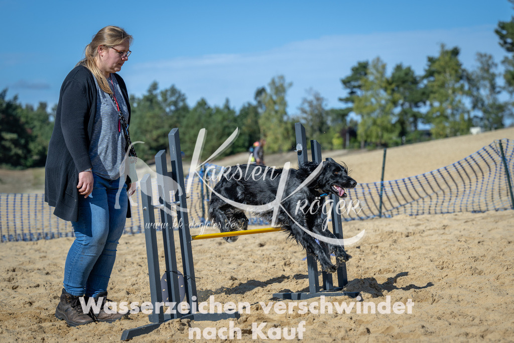 1254_ZZ93708-2 | kk-dogfotos