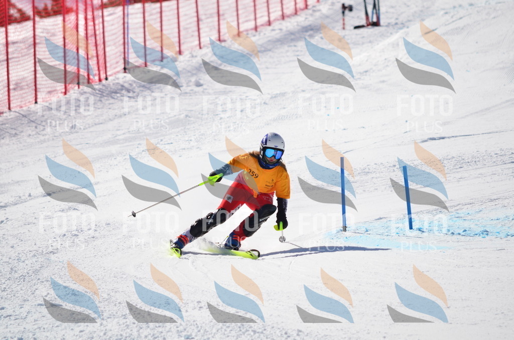 C8497 | holidayphoto