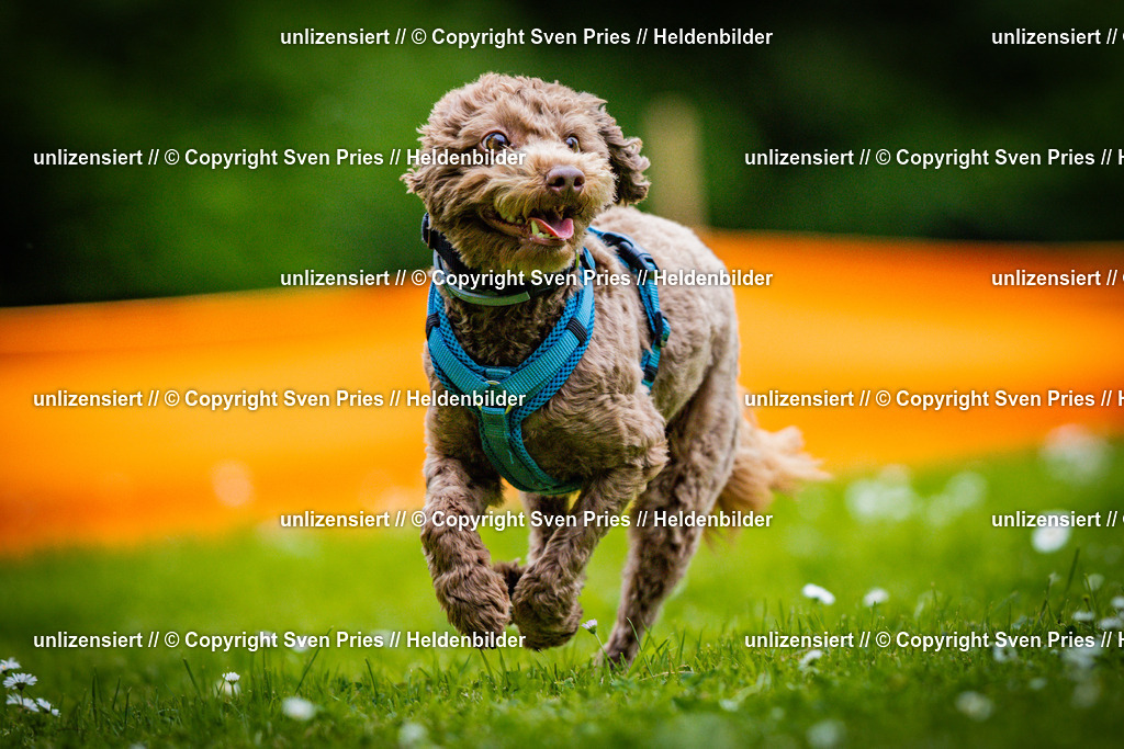 Sven Pries | 2025-05-29 - Pudelrennen KA-Durlach - Realisiert mit Pictrs.com