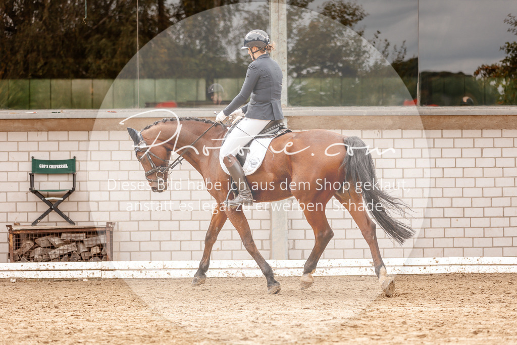 3I6A7763 | Stimmungsvolle Portraits und Reitsportfotografie im Ruhrgebiet und im Münsterland.

Pferdefotografie, Hundefotografie, Tierfotografie, Reportagen, Portraits von Tier und Mensch, Turnierfotografie in Bochum, Recklinghausen, Marl, Haltern am See, Dülmen.. - Realisiert mit Pictrs.com