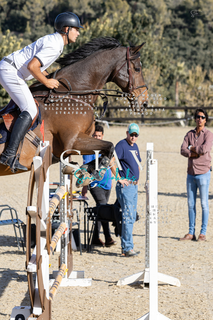 IMG_0087 | s-jay-photography - Realisiert mit Pictrs.com