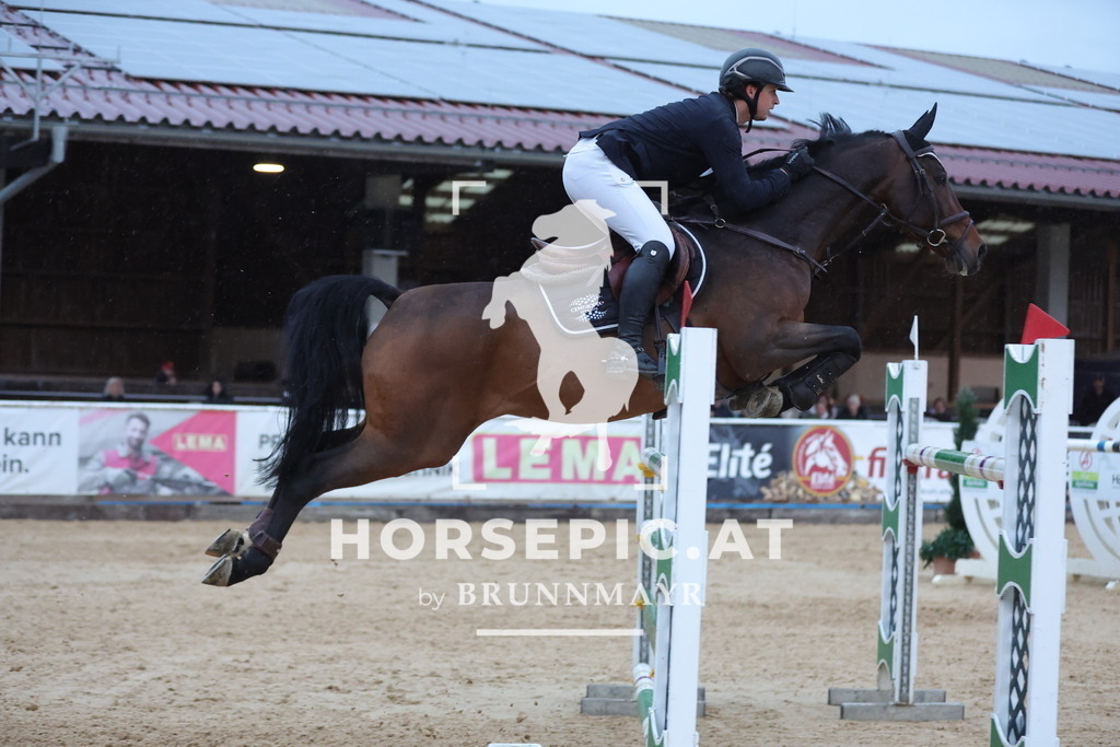 0P6A6091 | Willkommen bei Brunnmayr - Design & Fotografie – Ihrem Spezialisten für Reitturniere und Pferdeveranstaltungen in Oberösterreich, Salzburg und Bayern! Seit über 17 Jahren sind wir leidenschaftlich dabei.