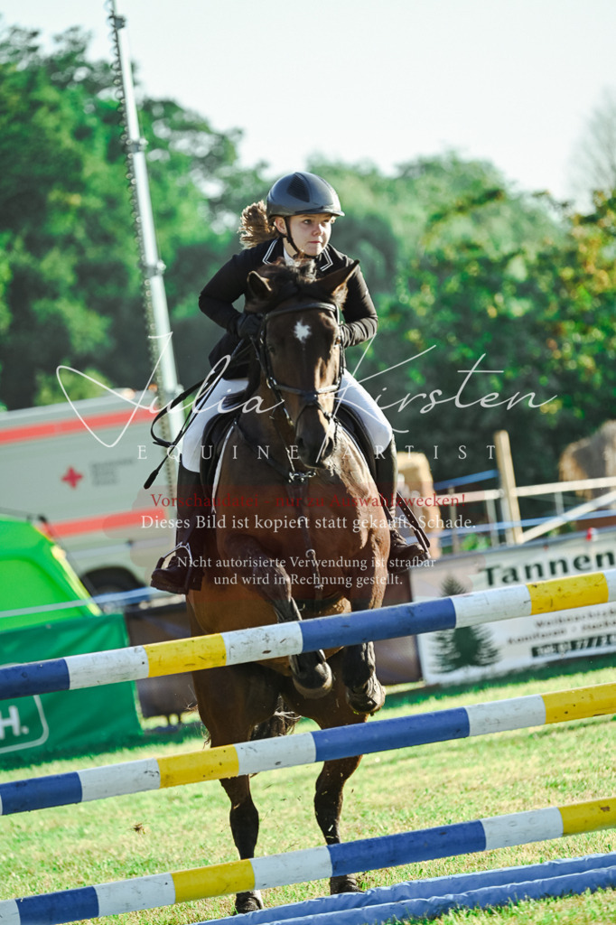 DSC_4267 | Pferde- und Turnierfotografie in Westsachsen. Pferdeportraits, Auftragszeichnungen und intuitive Kunst.