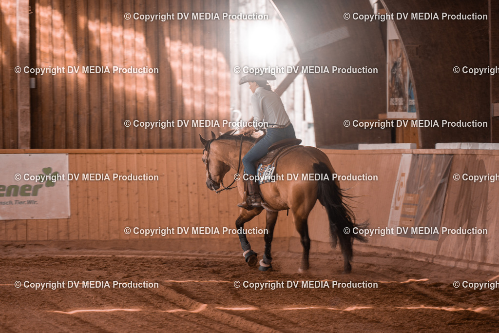 NE200990 | dv-media-shop - Realisiert mit Pictrs.com