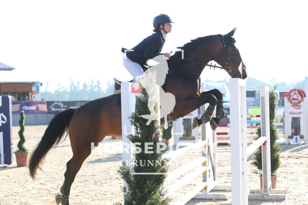 DL2Q1398 | Willkommen bei Brunnmayr - Design & Fotografie – Ihrem Spezialisten für Reitturniere und Pferdeveranstaltungen in Oberösterreich, Salzburg und Bayern! Seit über 17 Jahren sind wir leidenschaftlich dabei.