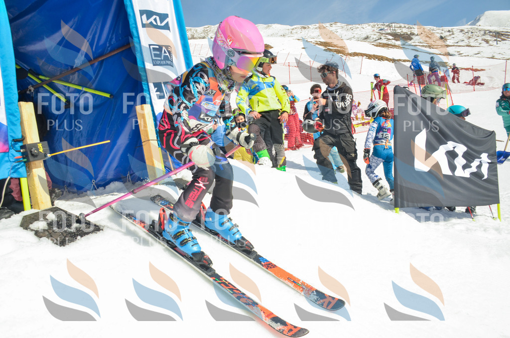 _ELE5580 | holidayphoto