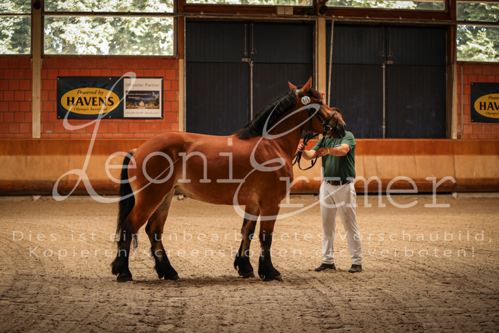 SaFL00004 | Leoni Ertmer Photography - Realisiert mit Pictrs.com