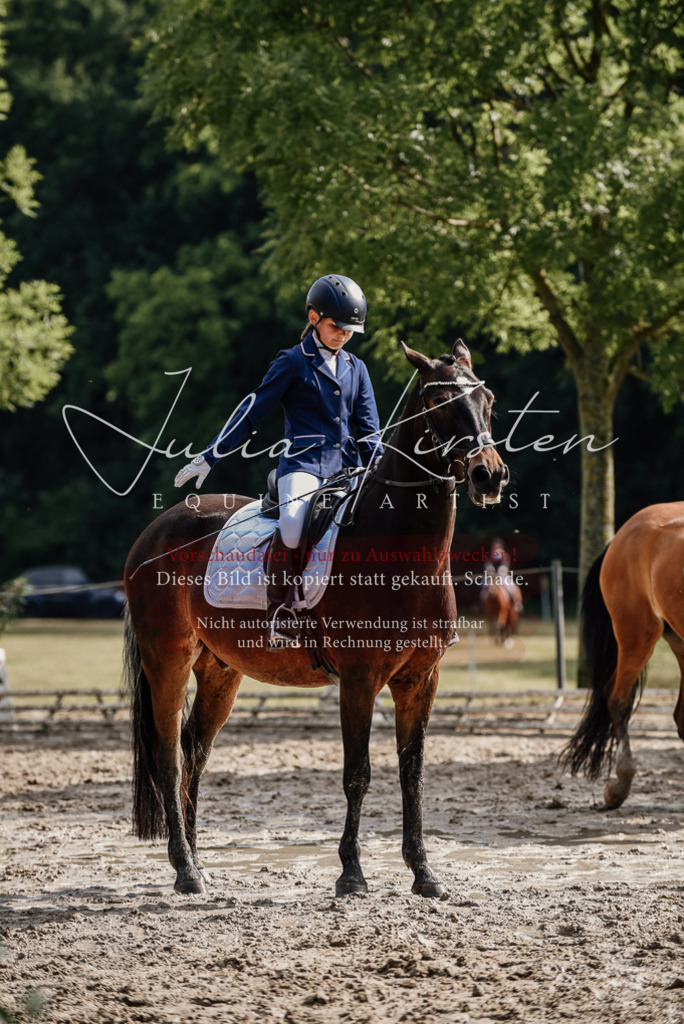 DSC_9191 | Pferde- und Turnierfotografie in Westsachsen. Pferdeportraits, Auftragszeichnungen und intuitive Kunst.