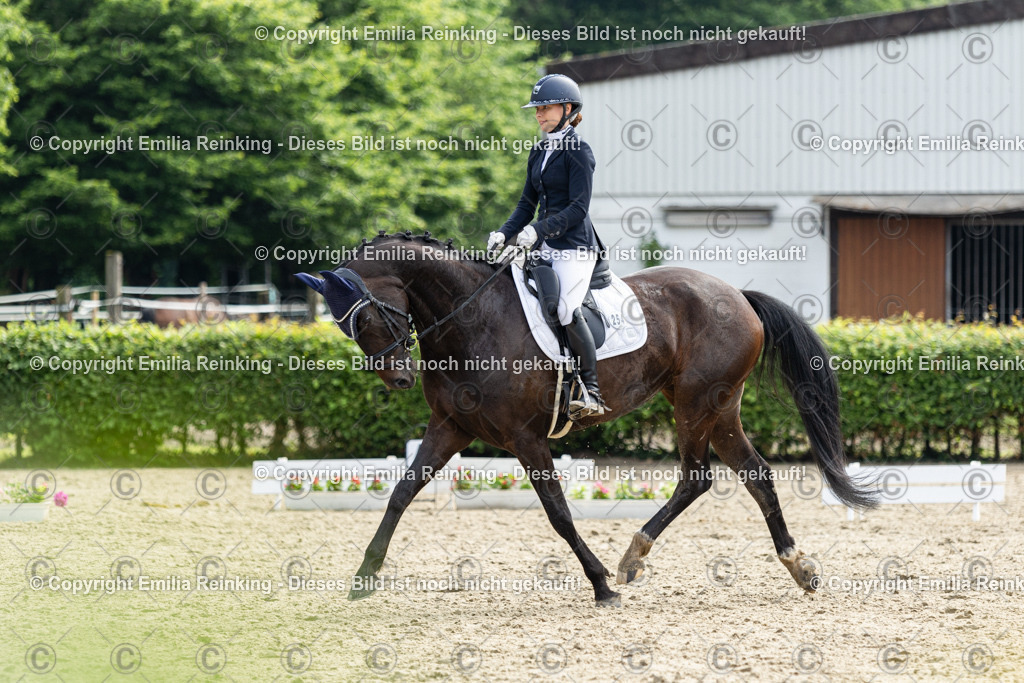 CL5A5372 | Emilia Reinking Fotografie - Realisiert mit Pictrs.com