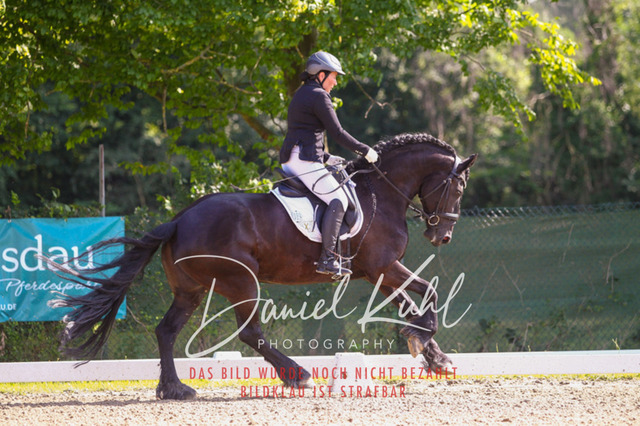 DKP42885 | Turniersportfotografie; Pferdefotografie; Dressurfotografie