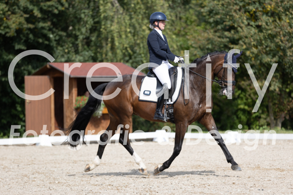 IMG_4040 | Creatify Fotografie