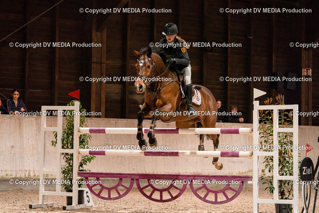 Springen Tag 2-952 | dv-media-shop - Realisiert mit Pictrs.com