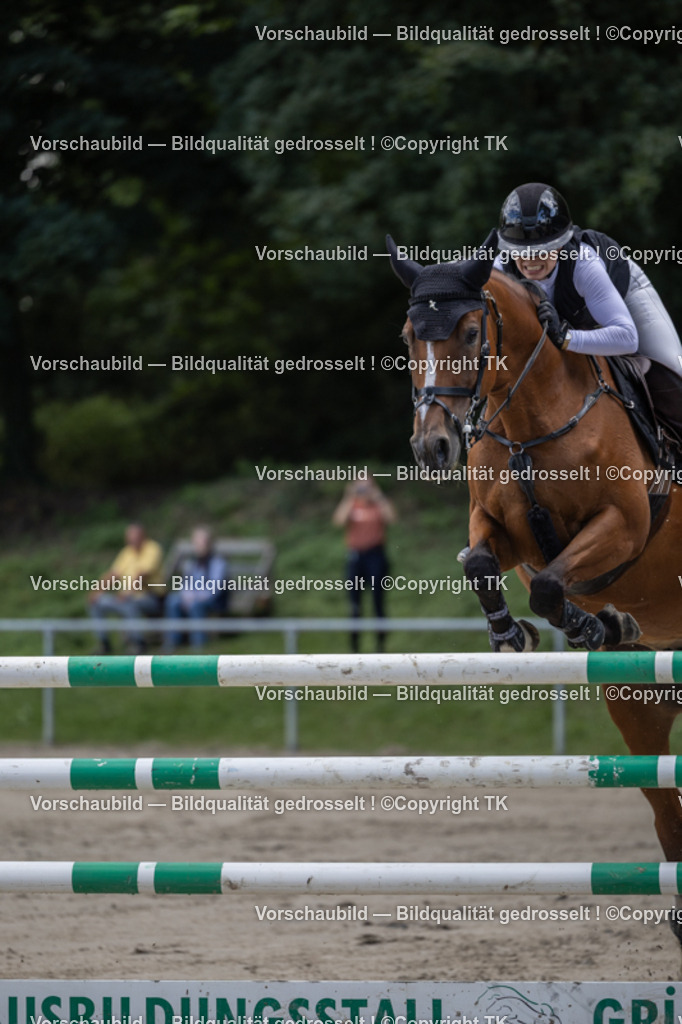 _D5A1293 | Emotionale Pferde- & People-Fotografie rund um Heidelberg, Leimen & Umgebung. Natürliche Fotos von Pferd, Mensch & Familie. Jetzt Termin sichern!