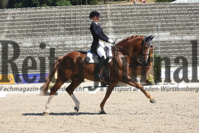 Marbaach_2024_Prfg.Nr.06_Dressurprfg.Kl.S_Intermediaire I_Kür_Marie-Christin Kogel_Doc-Holliday 3 (12) | Alle Fotos der Reiterjournal Fotografin Doris Matthaes im Reiterjournal Online-Fotoshop. - Realizado com Pictrs.com