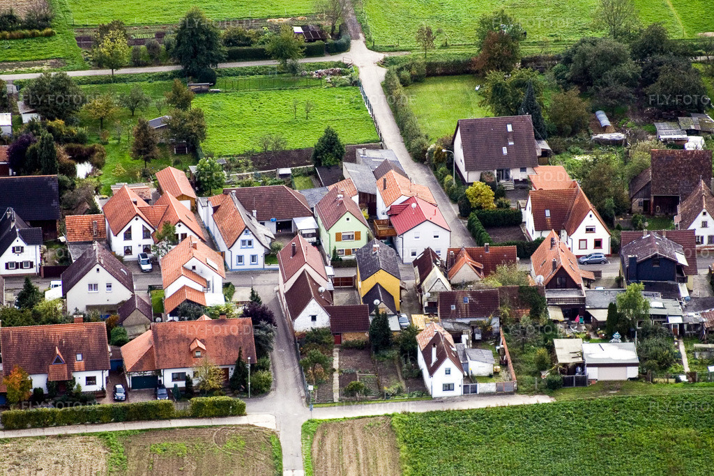 Luftbild: Gänsried x Burgweg in Freckenfeld im Bundesland Rheinland-Pfalz in Deutschland. Foto: IMG_4454.jpg vom 22.10.2006 durch Werner Riehm/FLY-FOTO.de