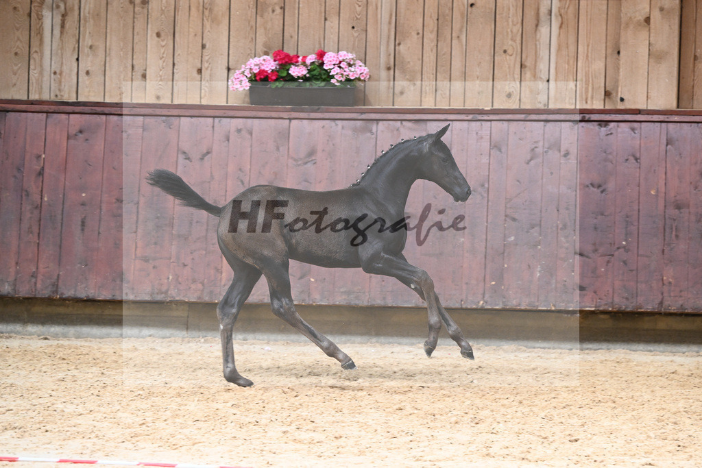 Kat-Nr. 26 SF Zenetti_Kirchmaier_26230341 | hf-fotografie - Realizzato con Pictrs.com