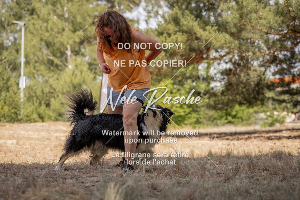 nelerasche_soDD2_473 | nelerasche