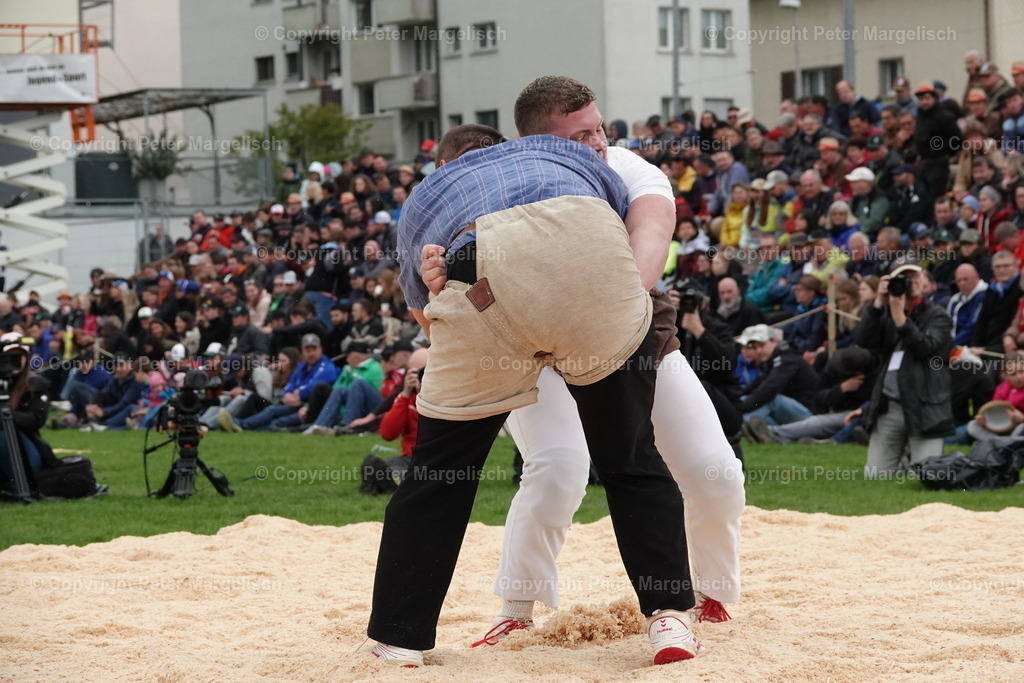 DSC03369 | Schwingen - Realisiert mit Pictrs.com