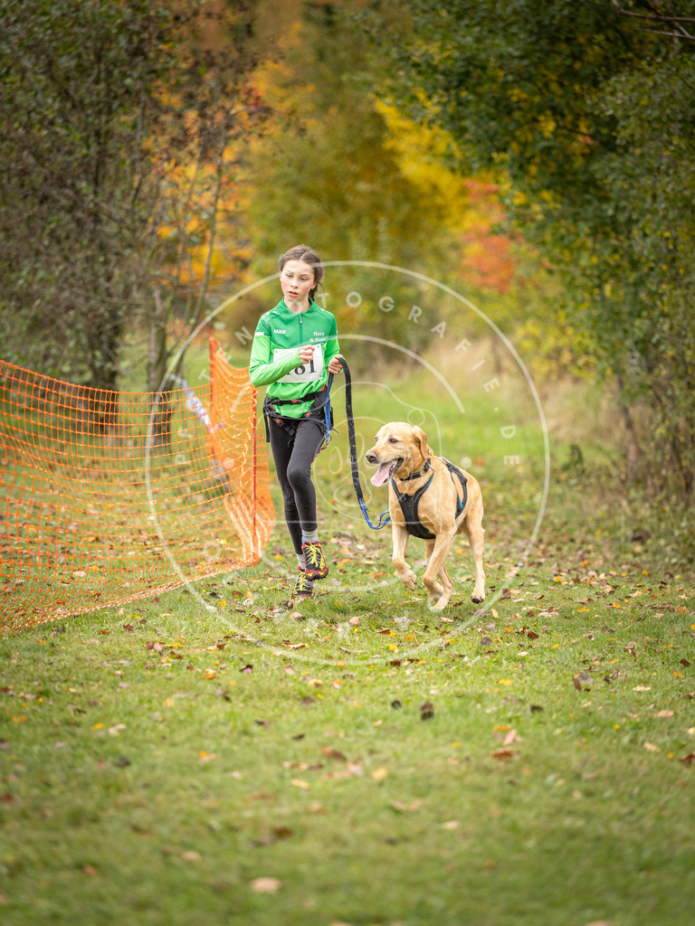 Pfotenfotografie_DV3A3760 | Hundefotografie, Tierfotograf, Pfotenfotografie, Fotoshooting Hund, Hunde Portrait, Hundesport, Hundeportraits, Heideshooting, Hunde, Sportfotograf, Hundefotograf, Turnierhundsport, THS,  - Realisiert mit Pictrs.com