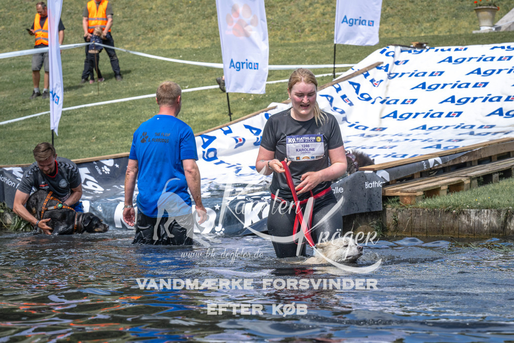 1103_ZZ90617 | kk-dogfotos