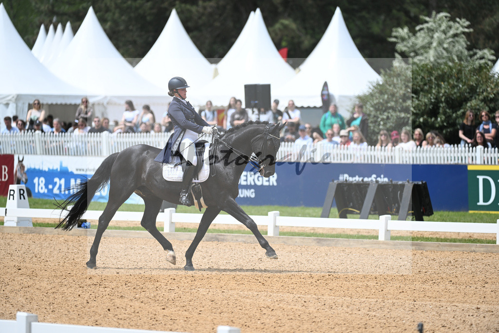 Merk_Sambuco_11233587 | hf-fotografie - Realisiert mit Pictrs.com