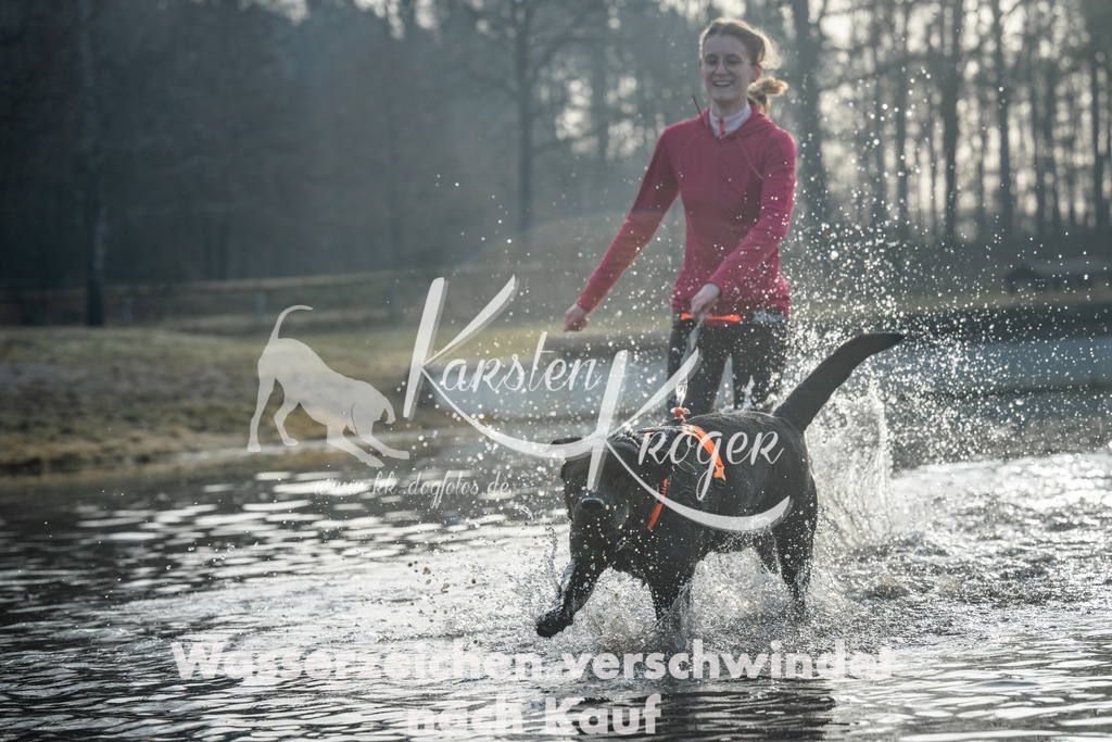 0832_ZZ97348 | kk-dogfotos