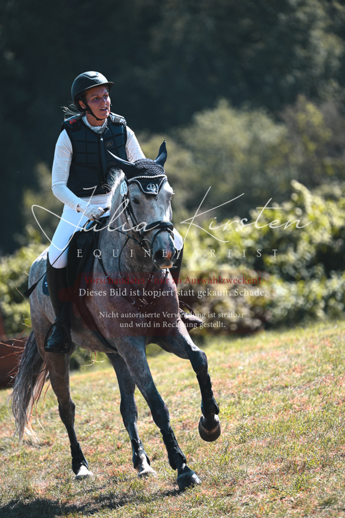 DSC_8202 | Pferde- und Turnierfotografie in Westsachsen. Pferdeportraits, Auftragszeichnungen und intuitive Kunst.