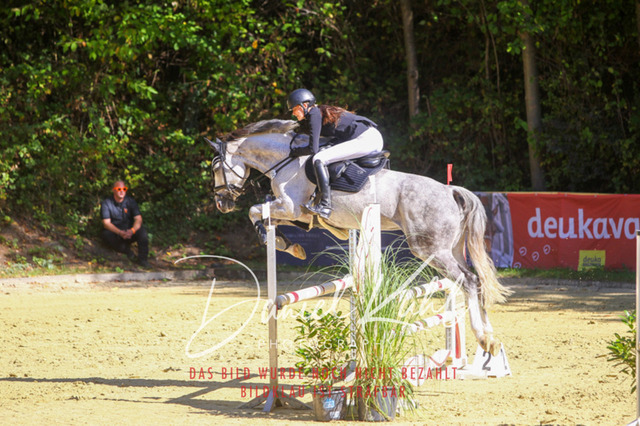 DKP43047 | Turniersportfotografie; Pferdefotografie; Dressurfotografie