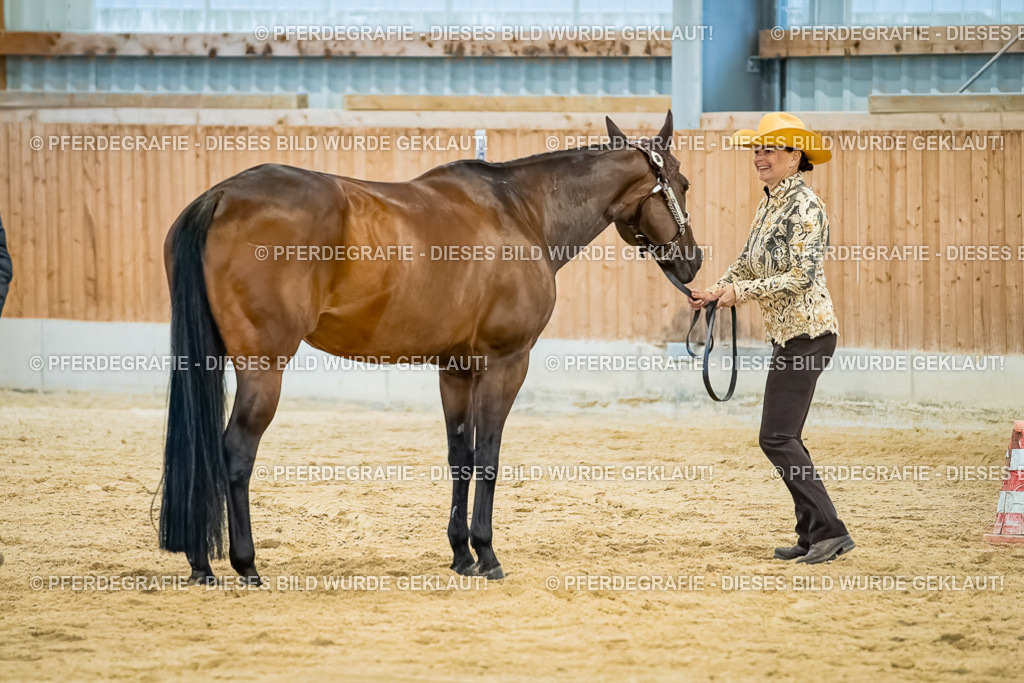 DSC09788 | Pferdegrafie