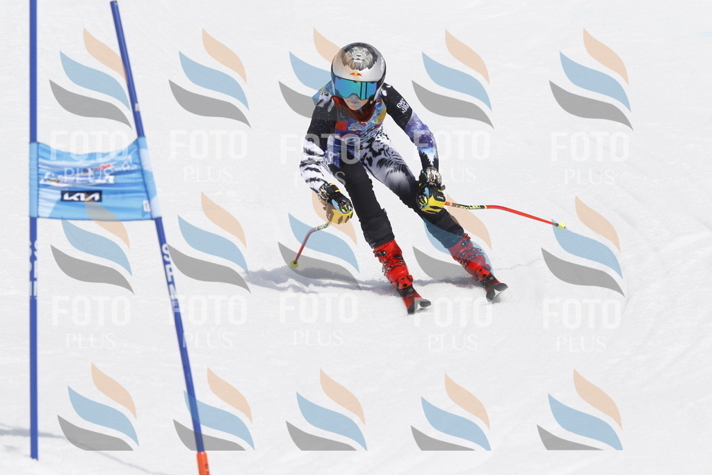 _U3G2466 | holidayphoto